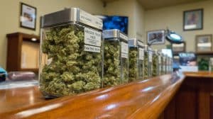 Nebraska cannabis microbusiness application