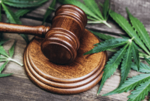 Nebraska cannabis law firm