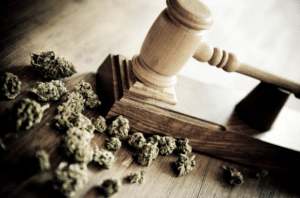 nebraska cannabis license attorney